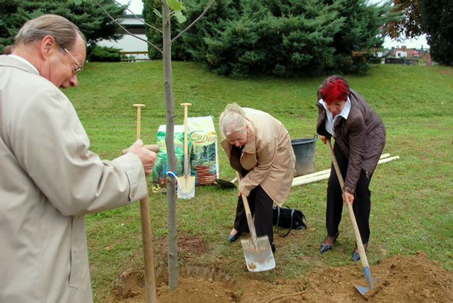 DSC_2331.EBV22_Stegersbach_2008_Baumpflanzung