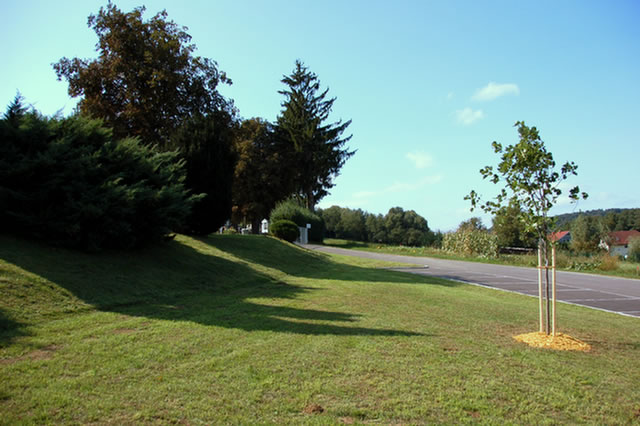 DSC_2546.EBV22_Stegersbach_2008_Baum_der_EBV_22